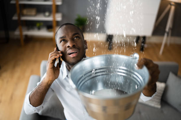 Best Sewage cleanup and water damage restoration  in Scobey, MT