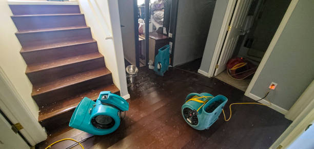 Best Fire Damage Restoration  in Scobey, MT