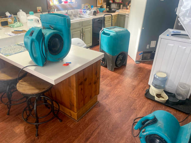 Best 24/7 water damage repair  in Scobey, MT