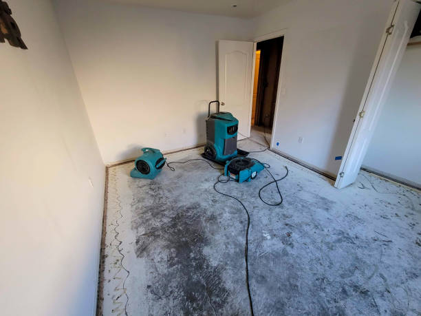 Water damage restoration process in MT