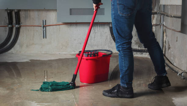 Best Water damage restoration company  in Scobey, MT