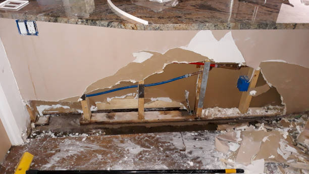 Best Water damage restoration process  in Scobey, MT