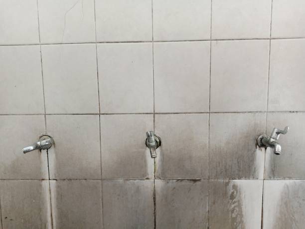 Best Commercial water damage restoration  in Scobey, MT