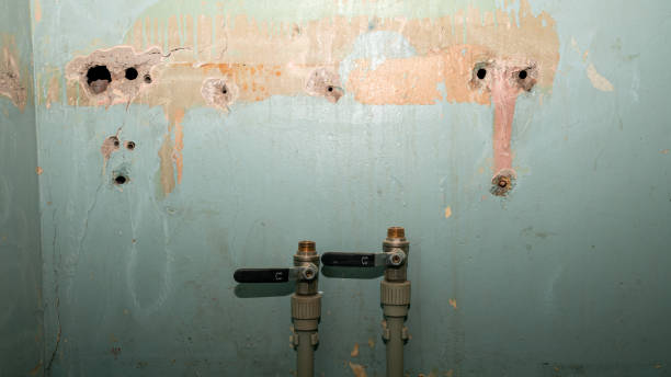Best Flood restoration services  in Scobey, MT