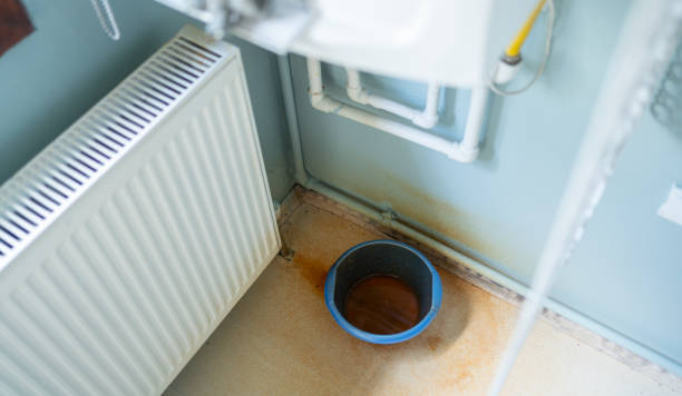 Best Water damage cleanup near me  in Scobey, MT