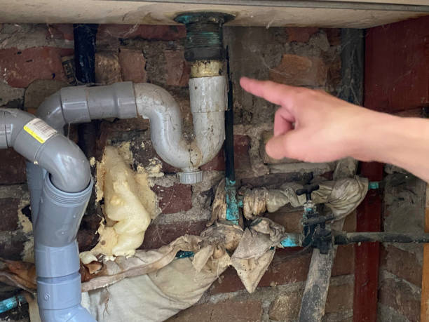 Best 24/7 water damage repair  in Scobey, MT