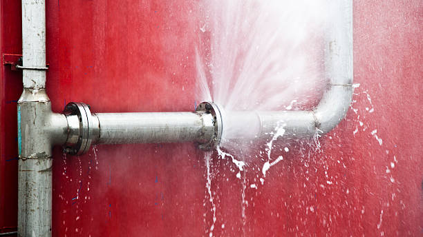 Best Mold removal after water damage  in Scobey, MT