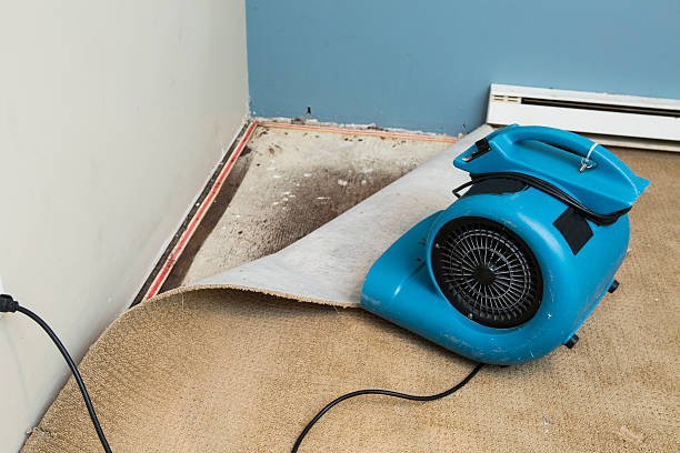Water damage restoration experts in MT